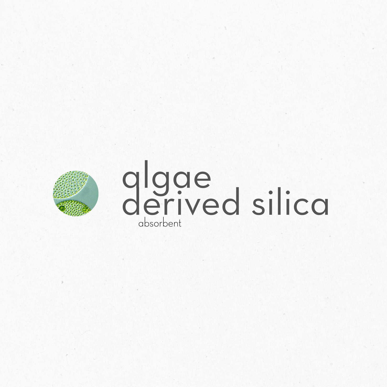 Algae-derived silica